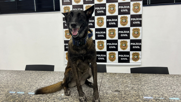 Efetivo policial durante a operação