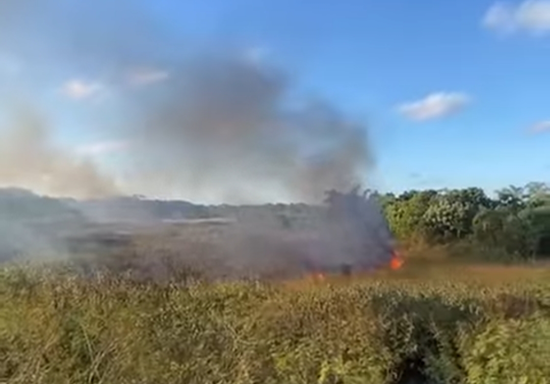 Incêndio no Parque Estadual Acaraí